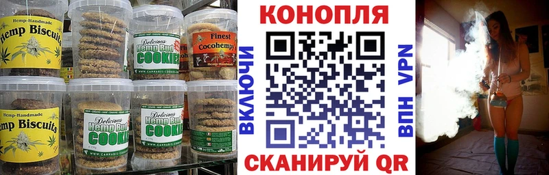 Canna-Cookies марихуана  Фокино 